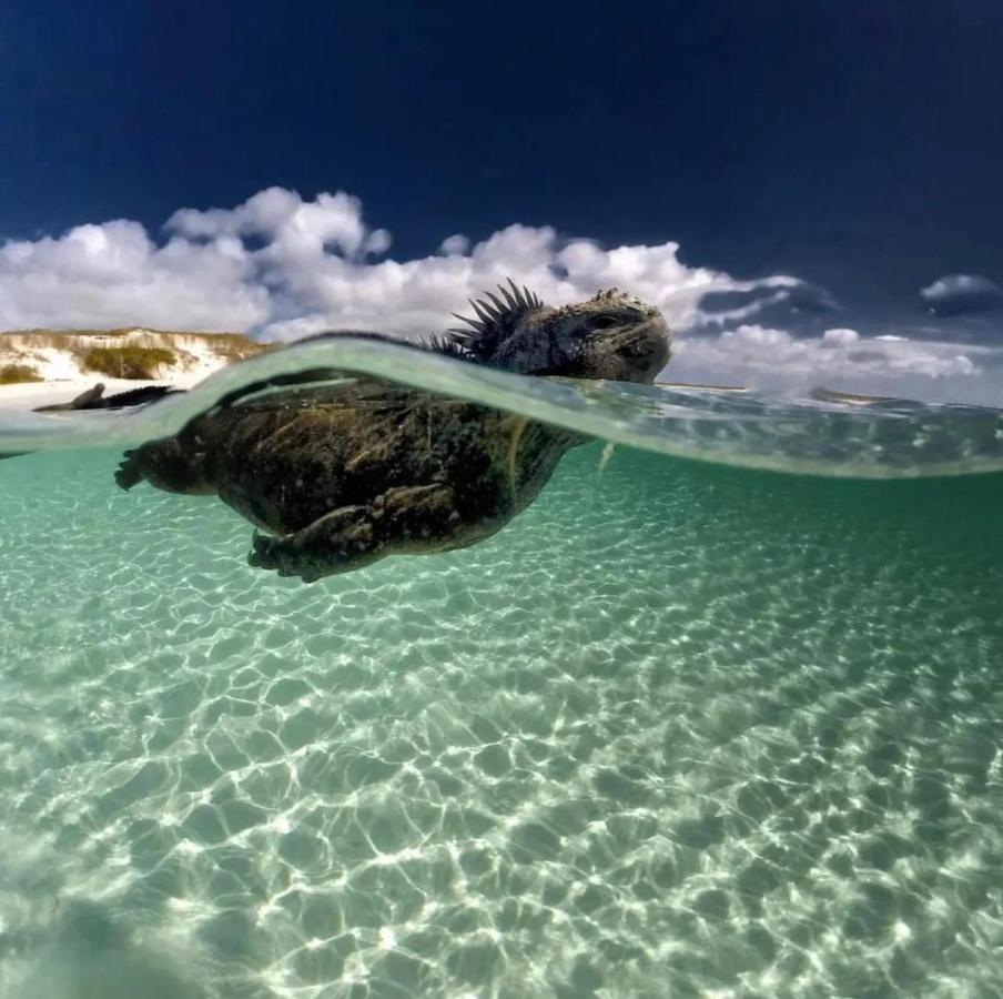 فندق Sun Island بْوُرتو فيلاميل المظهر الخارجي الصورة