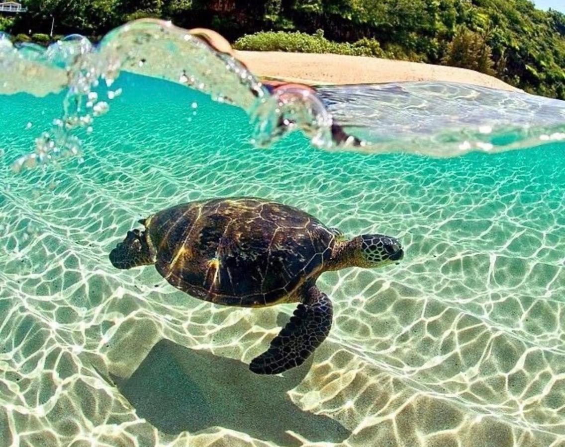 فندق Sun Island بْوُرتو فيلاميل المظهر الخارجي الصورة